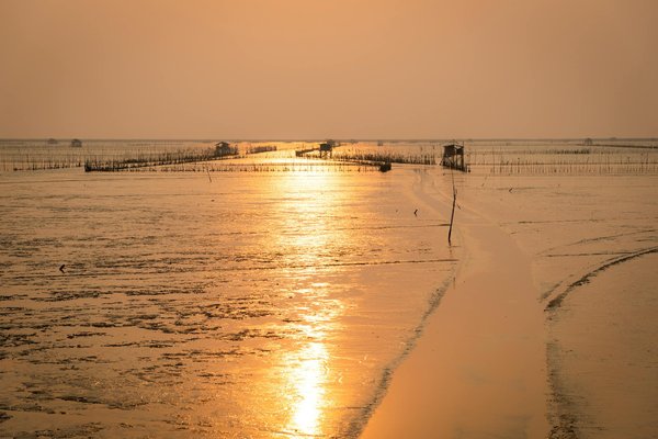 My Prague Apartments